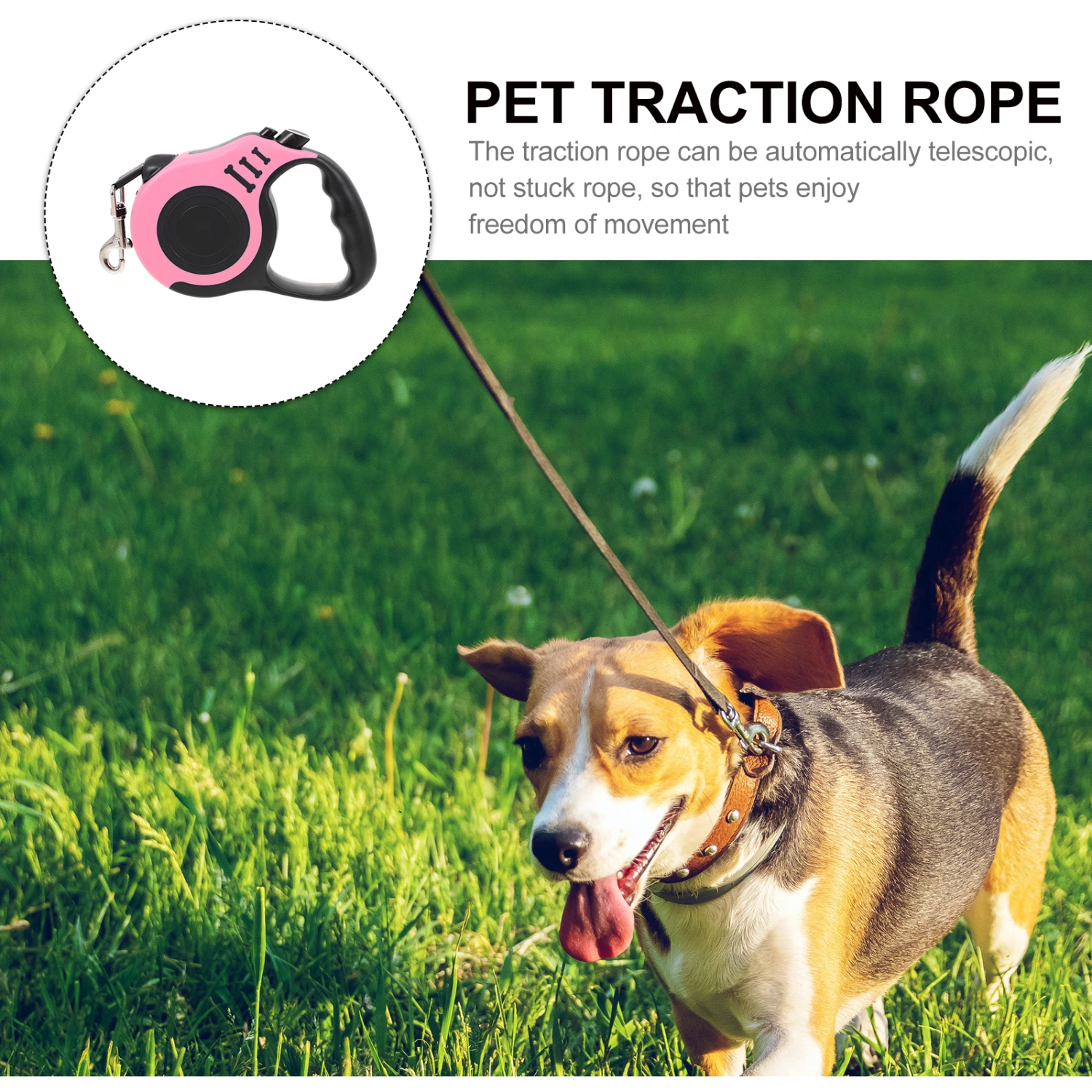 Retractable Dog Leash Portable Pet Leash Dog Walking Leash Pet Retractable Leash Puppy Accessory