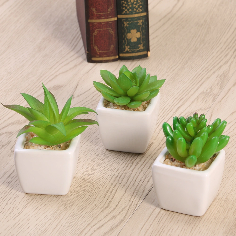 3pcs Mini Artificial Succulent Plants with White Ceramic Planter Pots