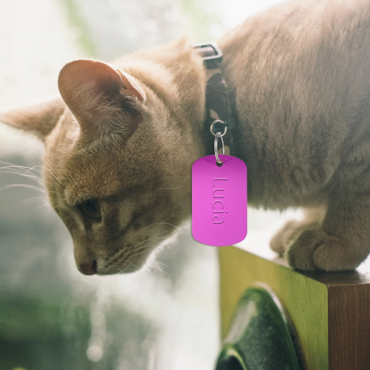 24pcs Blank Pet ID Tag Pet Tag Alloy Anti-lost Pet Name Tag Dog Tag DIY Supply
