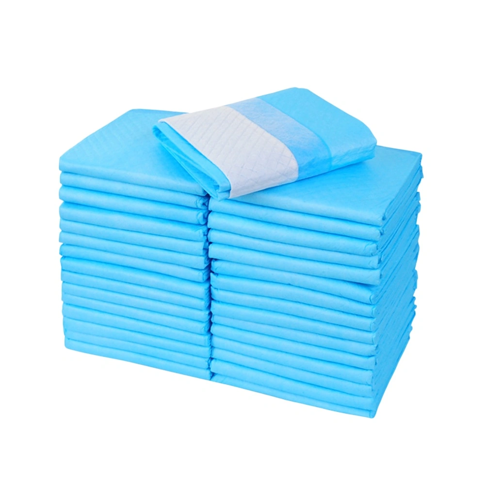 20pcs Super Absorbent Antibacterial Deodorant Puppy Pads Pet Training Water Absorption Deodorant Teddy Diaper Thickening Pads Size S (Blue)