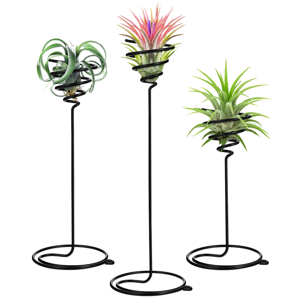 3pcs Tillandsia Stands Air Plant Holders Spiral Flower Displaying Stands Desktop Tillandsia Holder