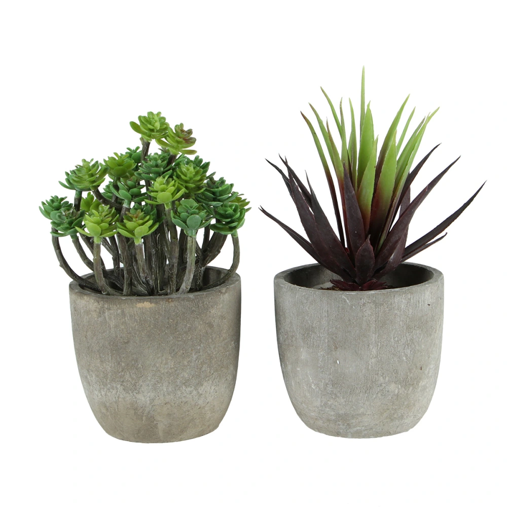 2Pcs Retro Decorative Faux Succulent Artificial Succulent Fake Simulation Plants with Pots (Dark Aeonium and Red Gladiolus)