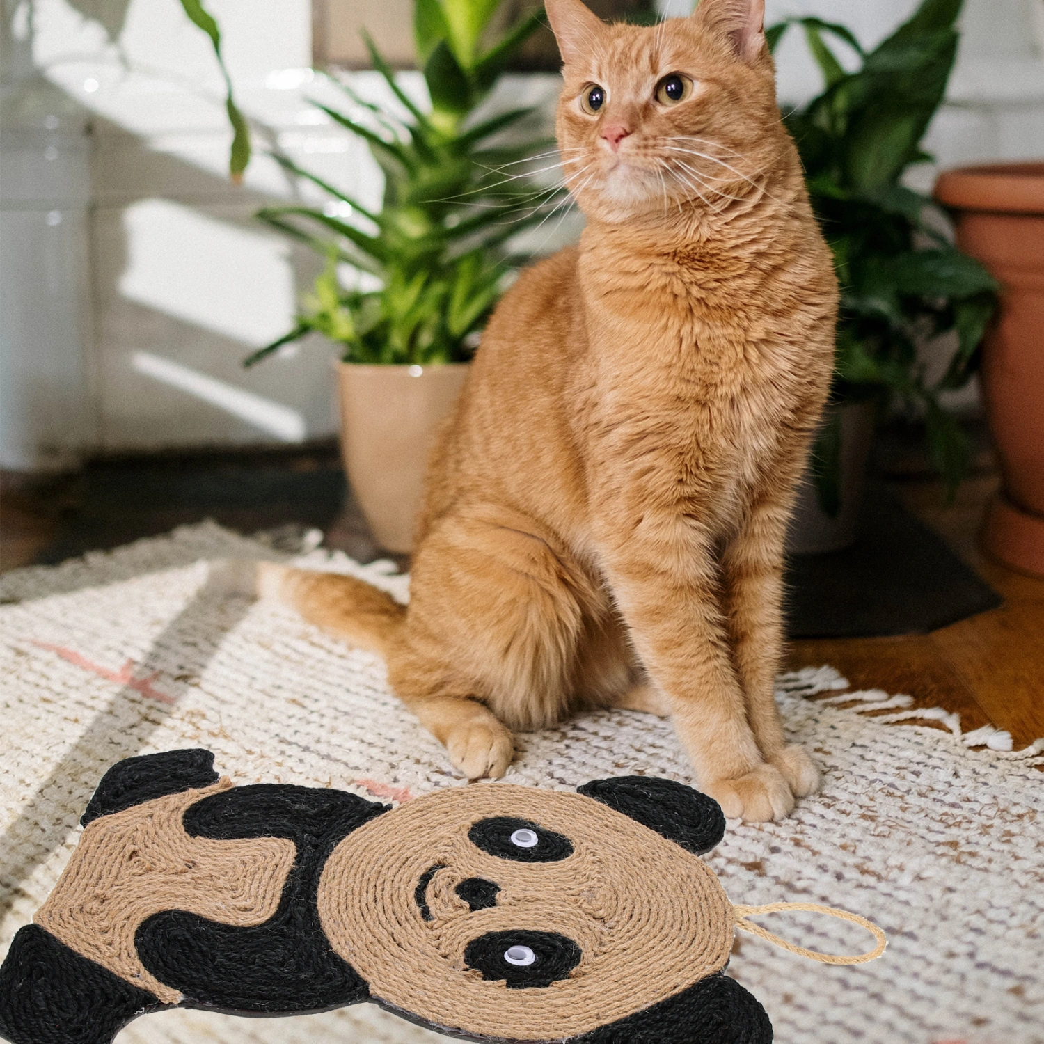 Cat Scratching Mat Sisal Cat Scratcher Hanging Cat Scratching Board Indoor Cat Toy