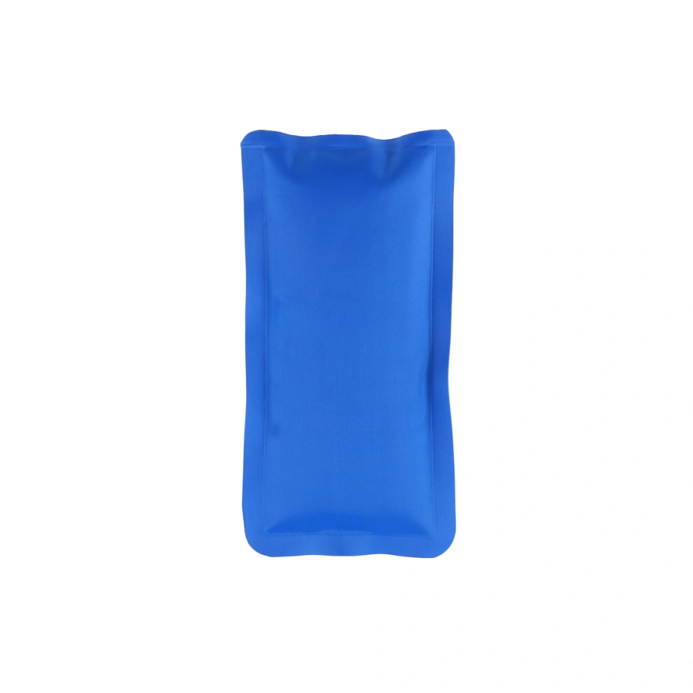 200ML Nylon Fabric Small Reusable Gel Ice Packs Mini Ice Cold Pack for Children and Adults(20x10x1cm, Blue)