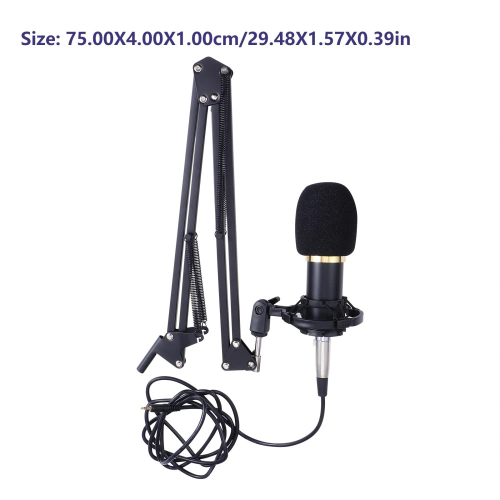 1 Set Condenser Microphone with USB Sound Laptop Recording Condenser Mic