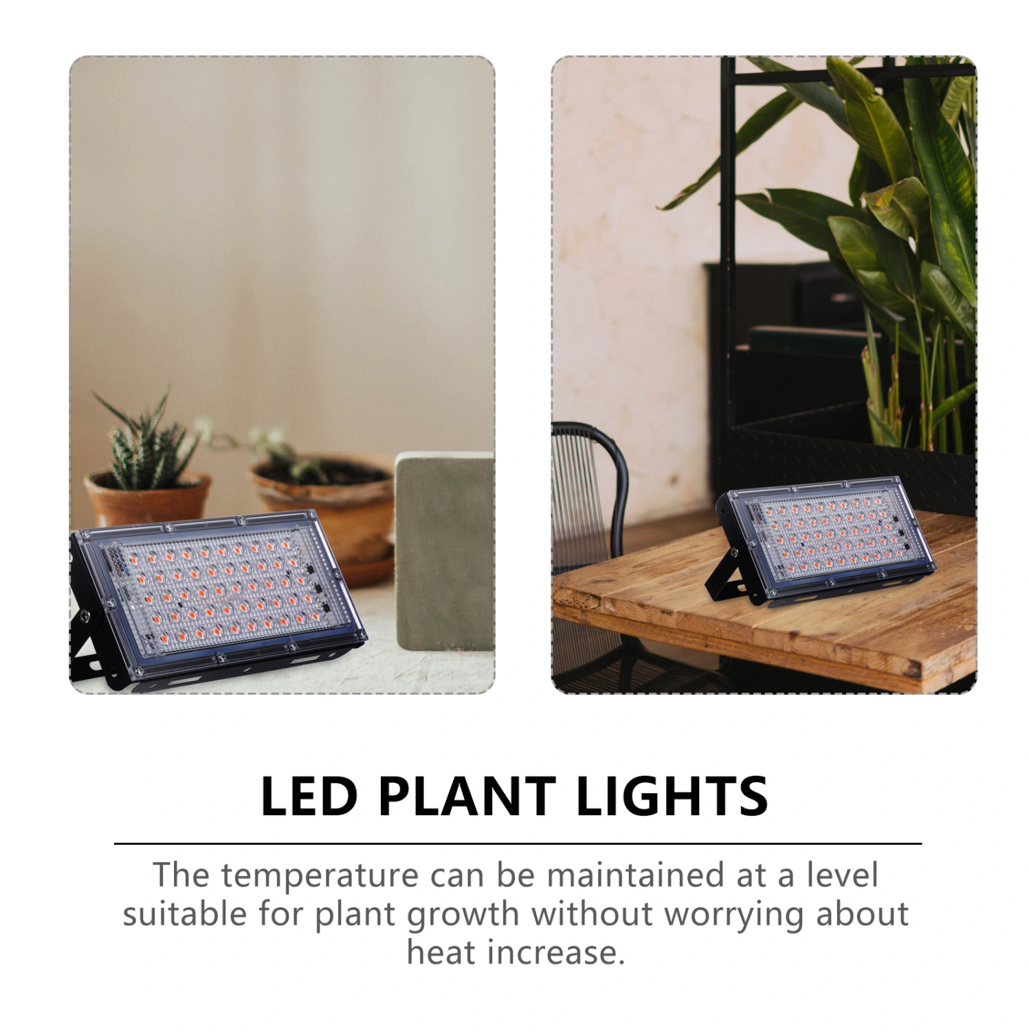 Plant Grow Light LED Plant Lights Indoor Growing Lamp for Greenhouse 50W