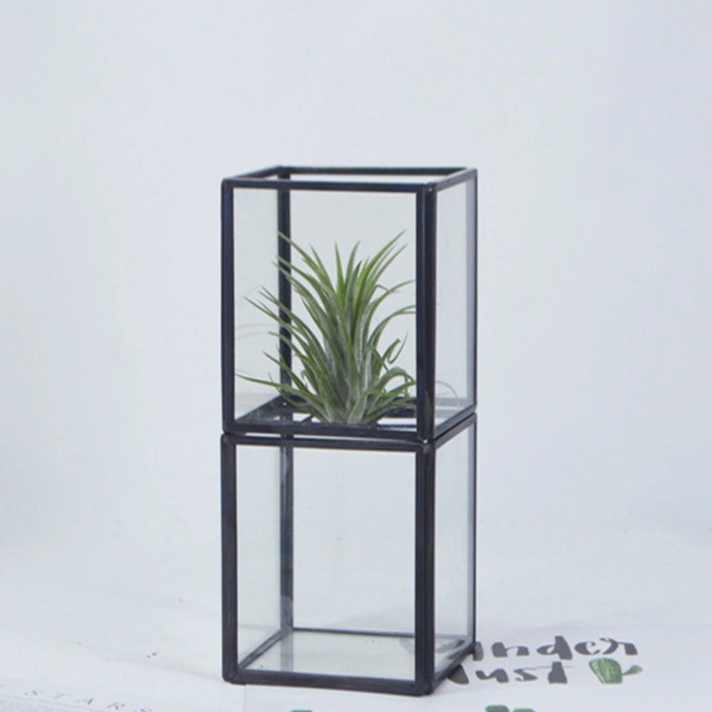 Square Two Glass Oranments Plant Container Microlandscape Succulent Ornaments Size M