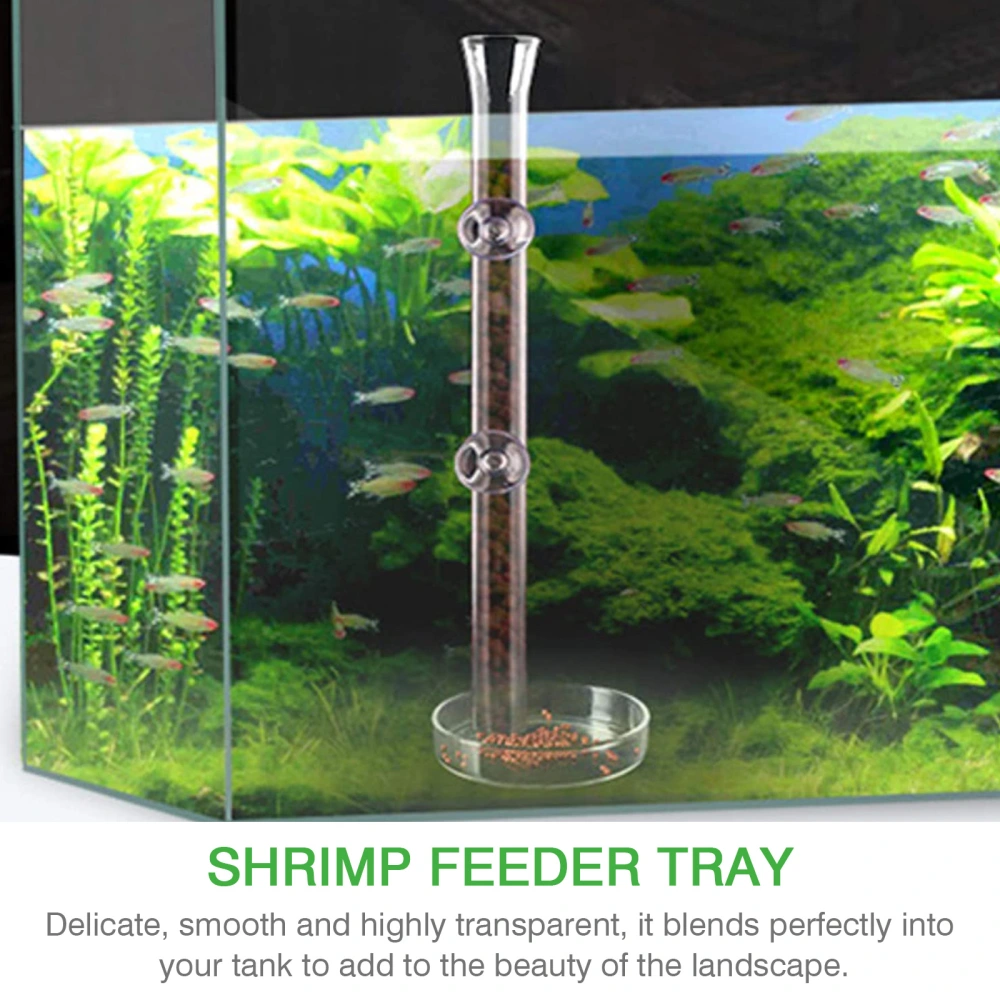 1 Set/2PCS Shrimp Feeder with 35cm Glass Shrimp Feeding Tube and Feeding Plate