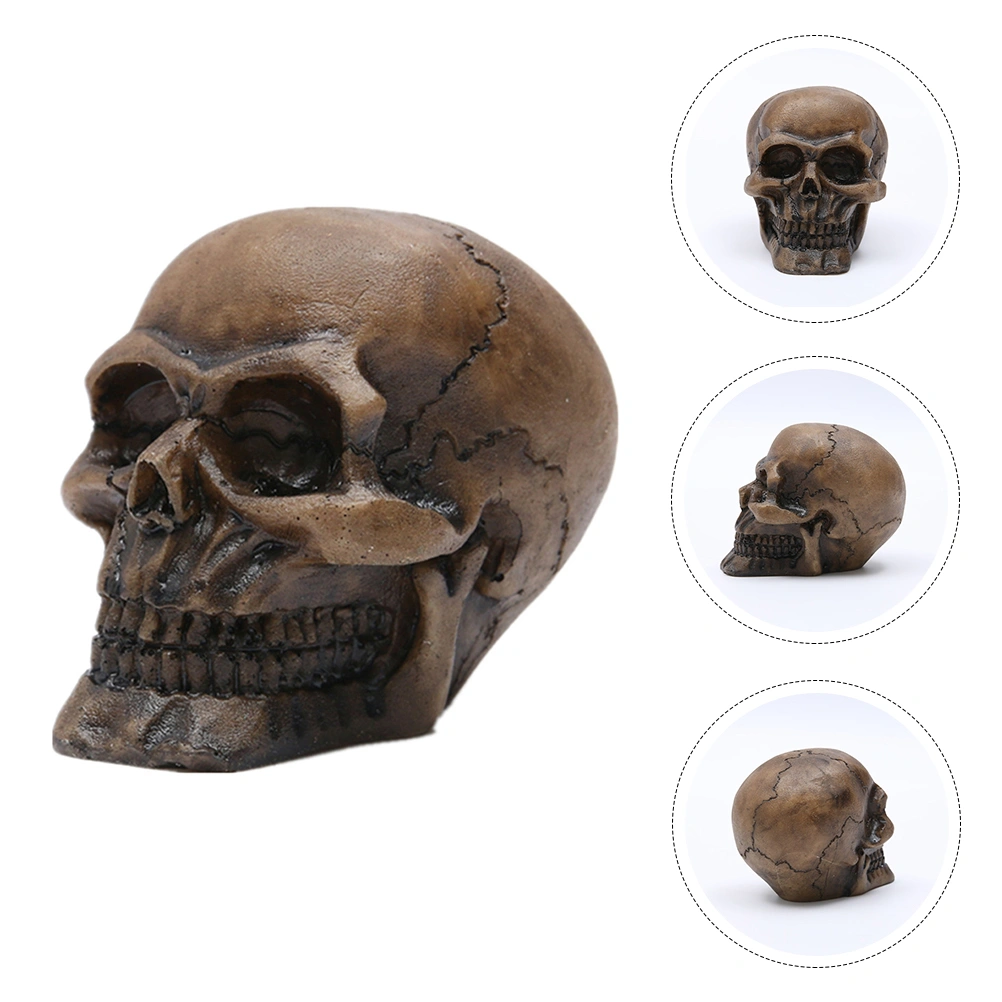 1pc Skull Ornament Resin Skull Decorative Skull Model Tabletop Ornament Skull