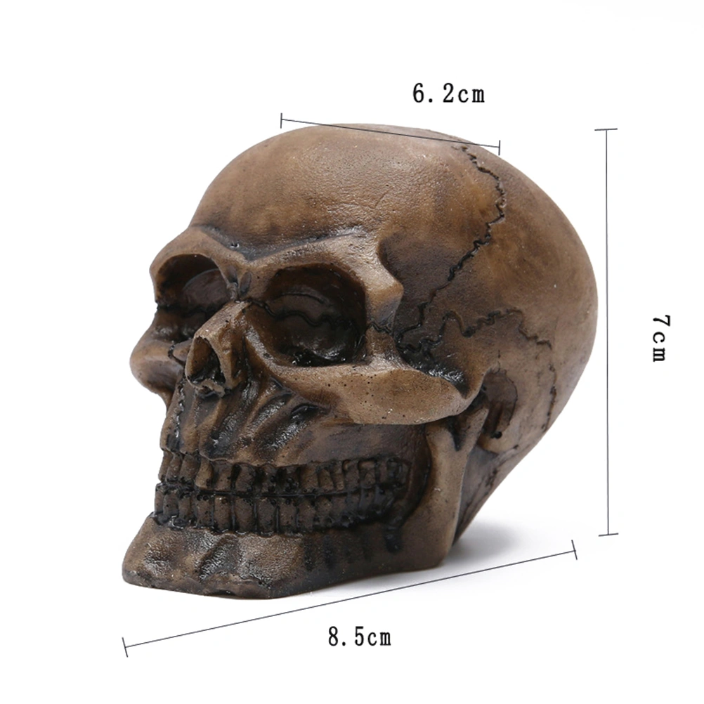 1pc Skull Ornament Resin Skull Decorative Skull Model Tabletop Ornament Skull