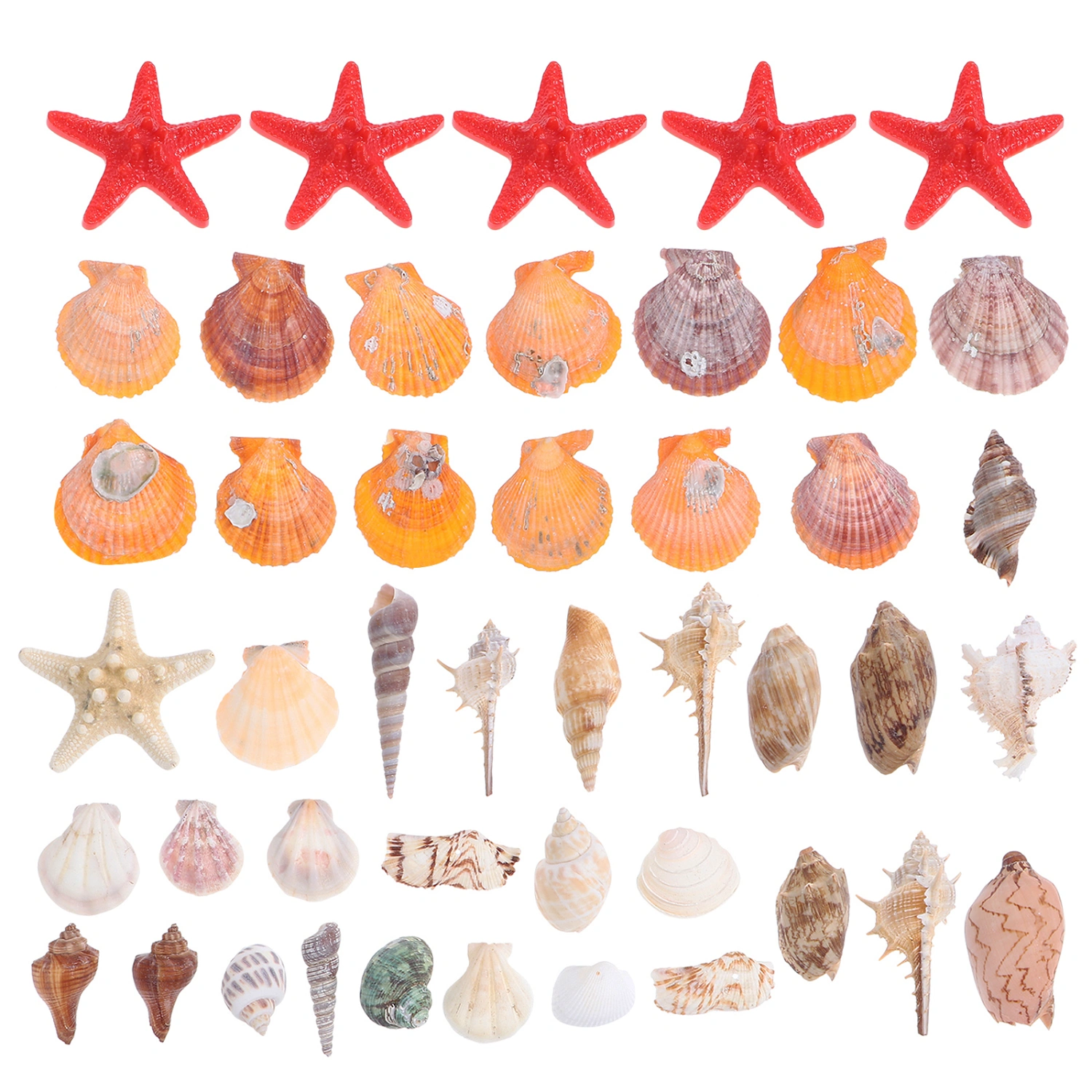 1 Set Natural Shells Sea Snails DIY Fish Tank Microlandscape Shell Crafts