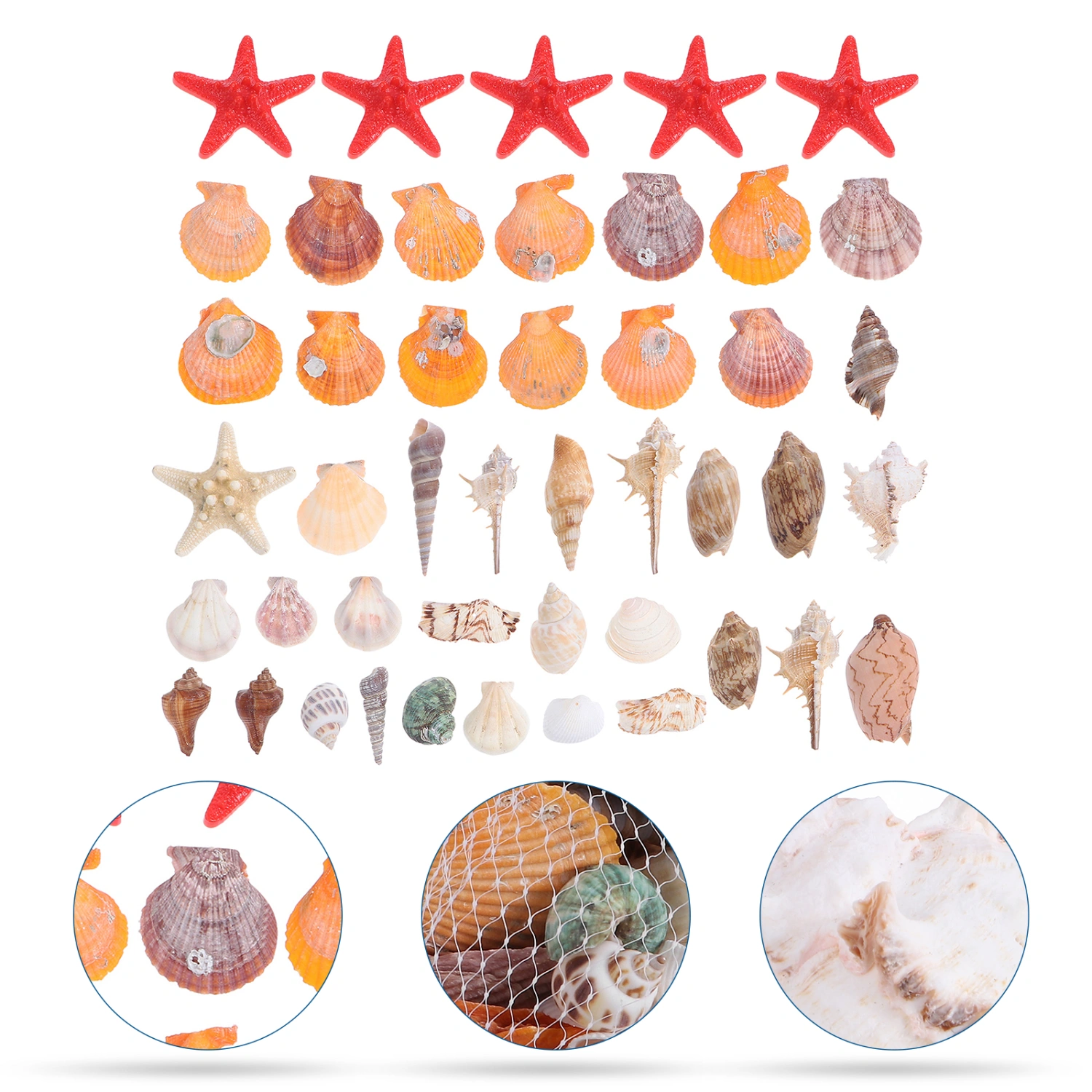 1 Set Natural Shells Sea Snails DIY Fish Tank Microlandscape Shell Crafts
