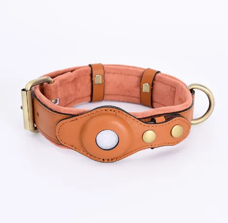 Dog Collar