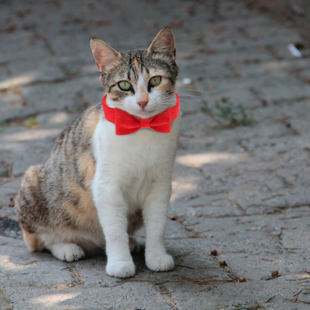 Decorative Dog Collar Bow Tie Collar Pet Bow Tie Decorative Dog Bowtie Pet Supply