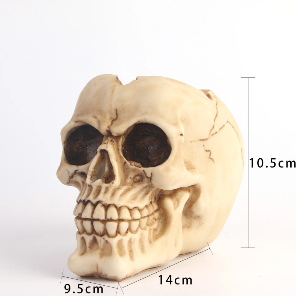 Skull Planter Skull Shape Planter Flower Arrangement Pot Small Flower Pot Plant Container