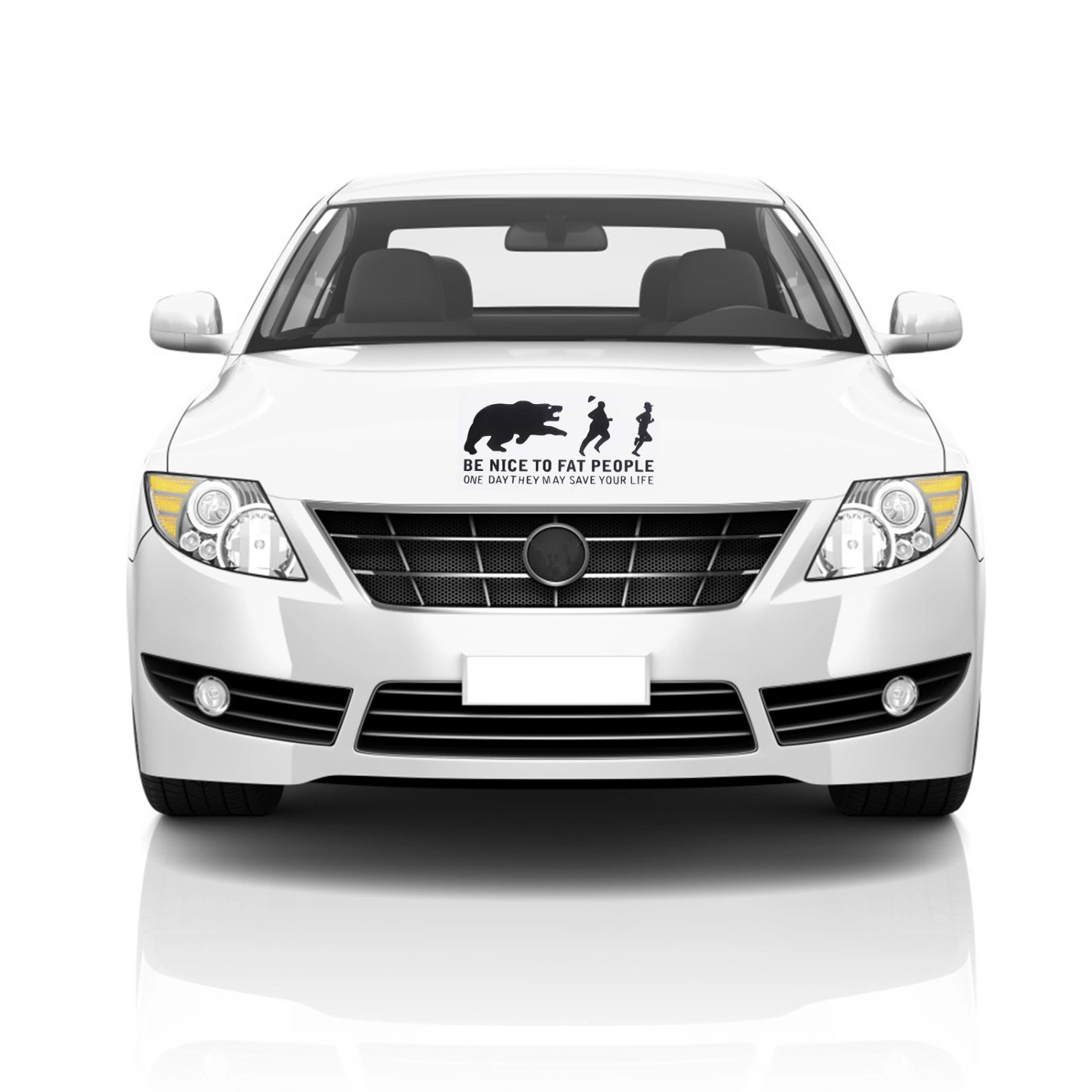 Decorative Car Sticker Car Decal PVC Automobile Sticker Wall Decoration