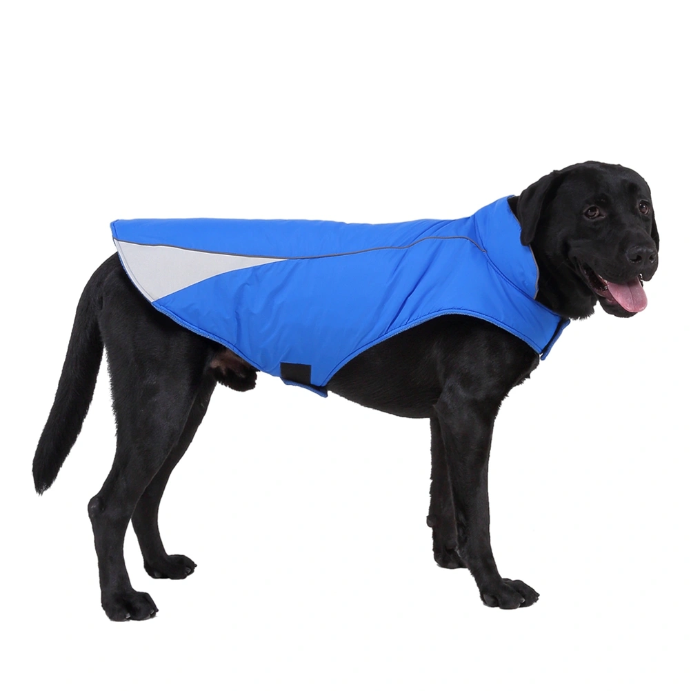 Outdoor Pet Dog Matching Color Clothes Pet Supplies Pet Sports Costume (Blue, Size M)