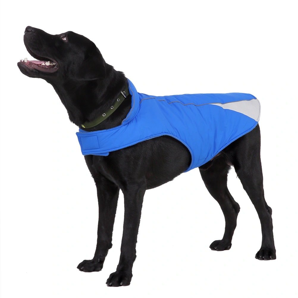 Outdoor Pet Dog Matching Color Clothes Pet Supplies Pet Sports Costume (Blue, Size M)
