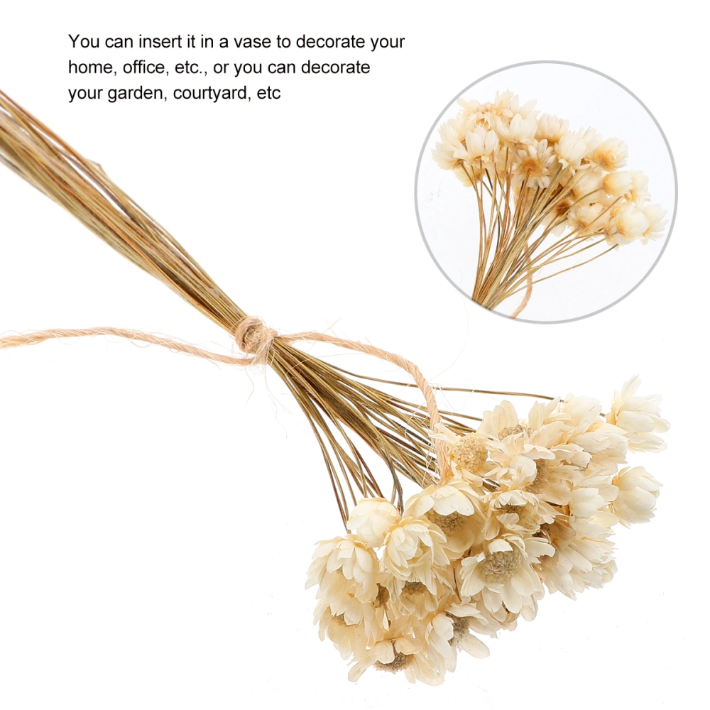 Small Star Flower Dried Flower Japanese Flower Arrangement Natural Decor