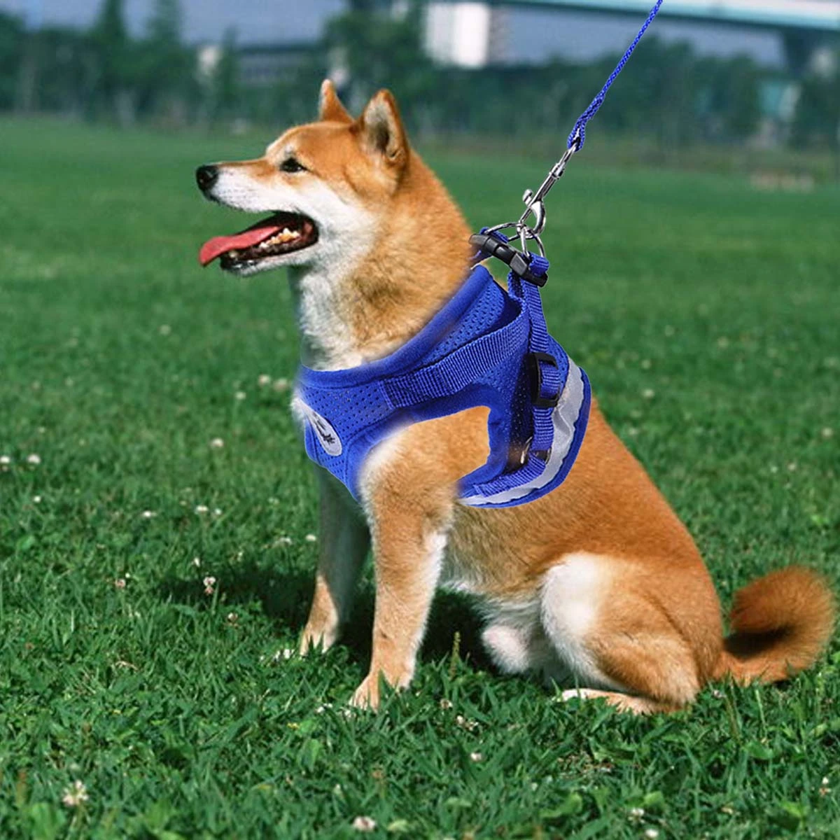 Pet Universal Harness Escape Proof Dog Harnesses with Leashes Pet Supplies - Size L (Blue)