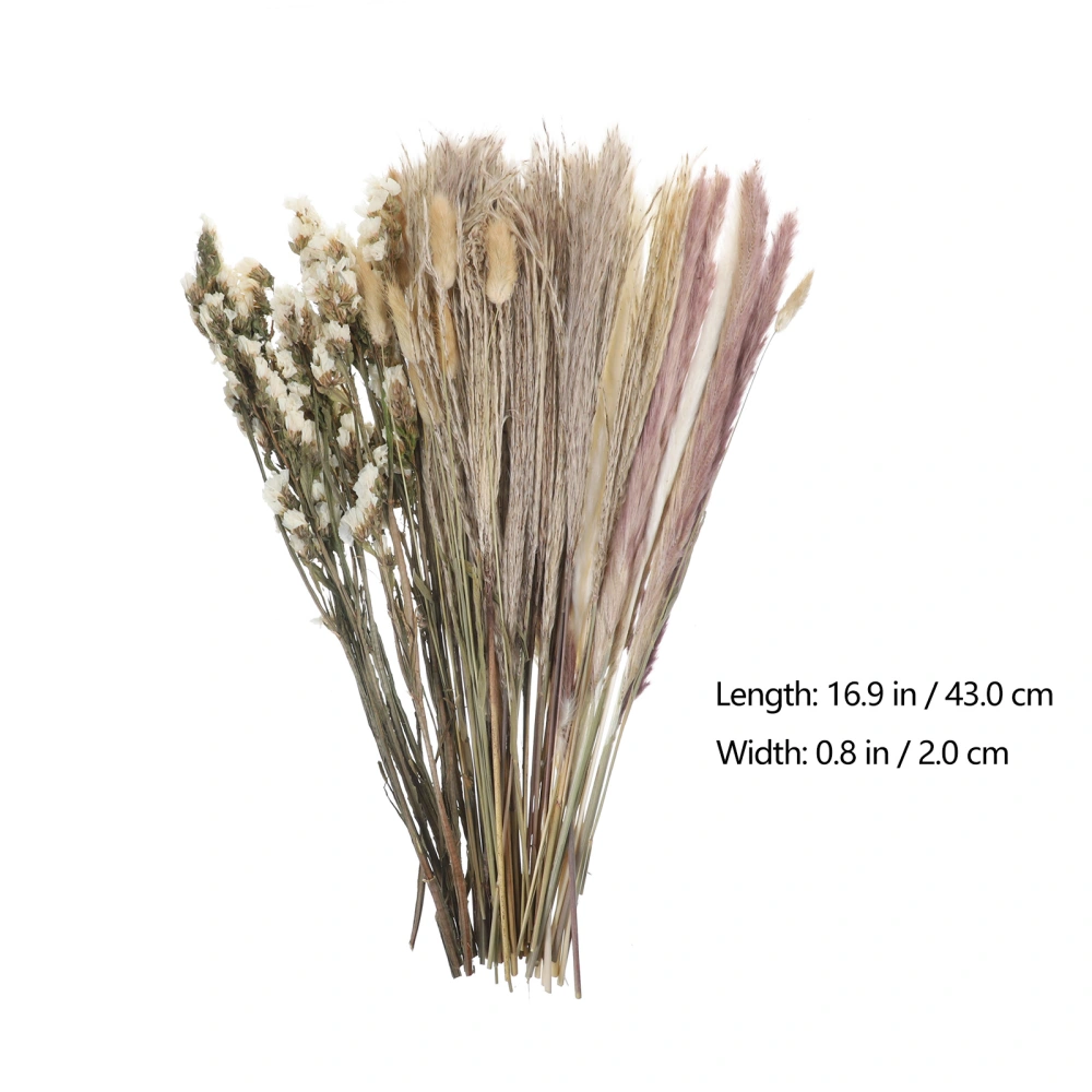 72PCS Natural Dried Pampas Grass Ornaments Decorative Natural Flower DIY Bouquets