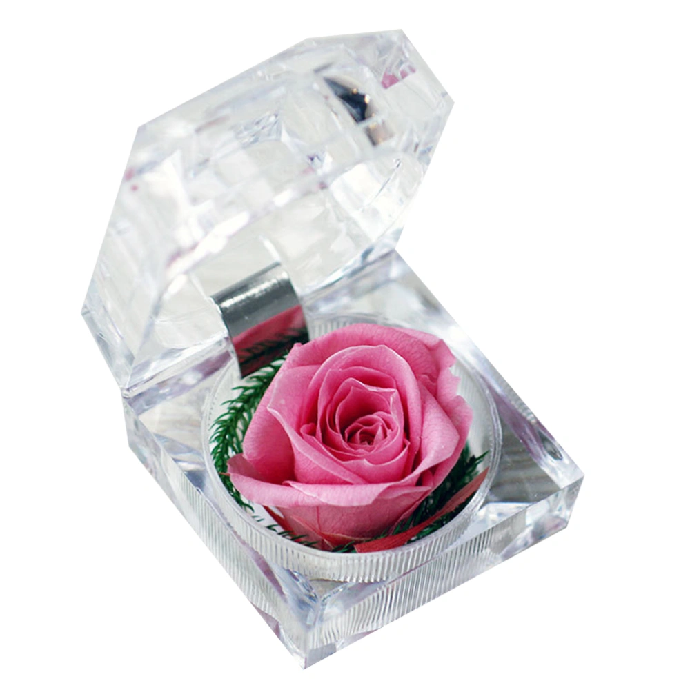 1Pcs Preserved Fresh Rose Flower in Glass Dome with Ribbon Decoration Rose Gift for Valentine's Day Anniversary Birthday (Rosy)