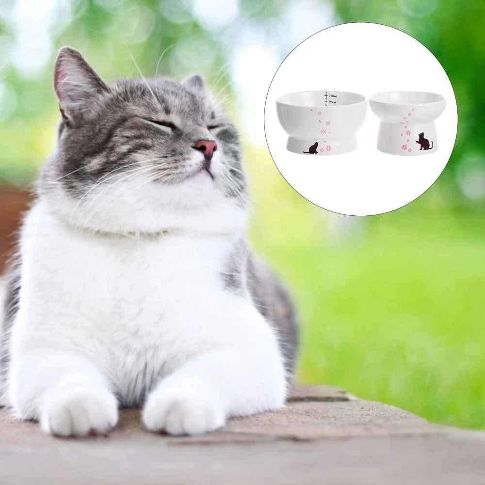 2pcs Raised Cat Food Bowl Water Bowl Anti Vomiting Ceramic Pet Cat Feeder