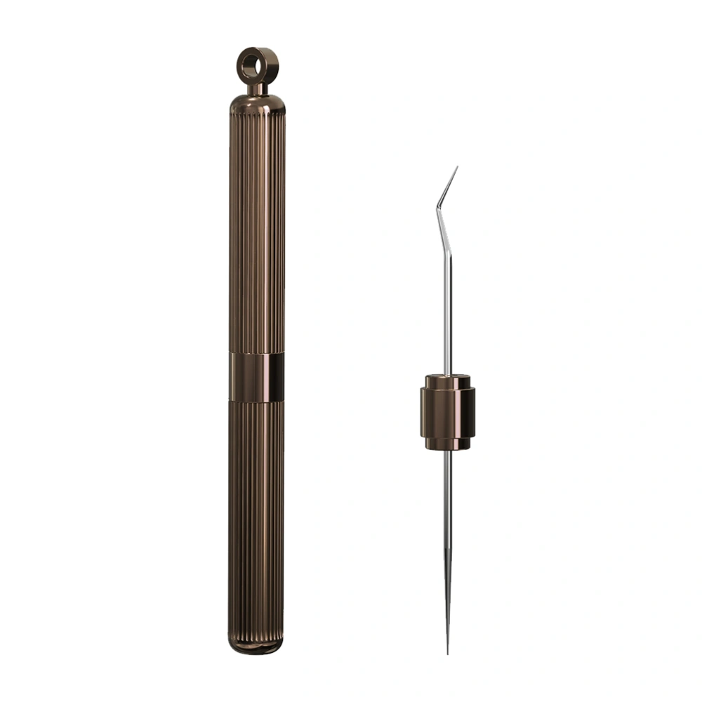 Portable Outdoor Reusable Stainless Steel Toothpick with Metal Toothpick Bottle