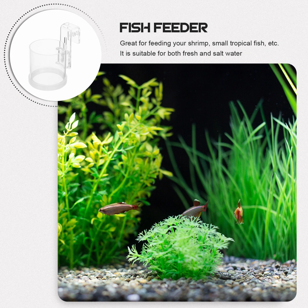 Fish Feeder Ring Aquarium Feeding Ring Acrylic Aquarium Circle Fish Feeding Ring