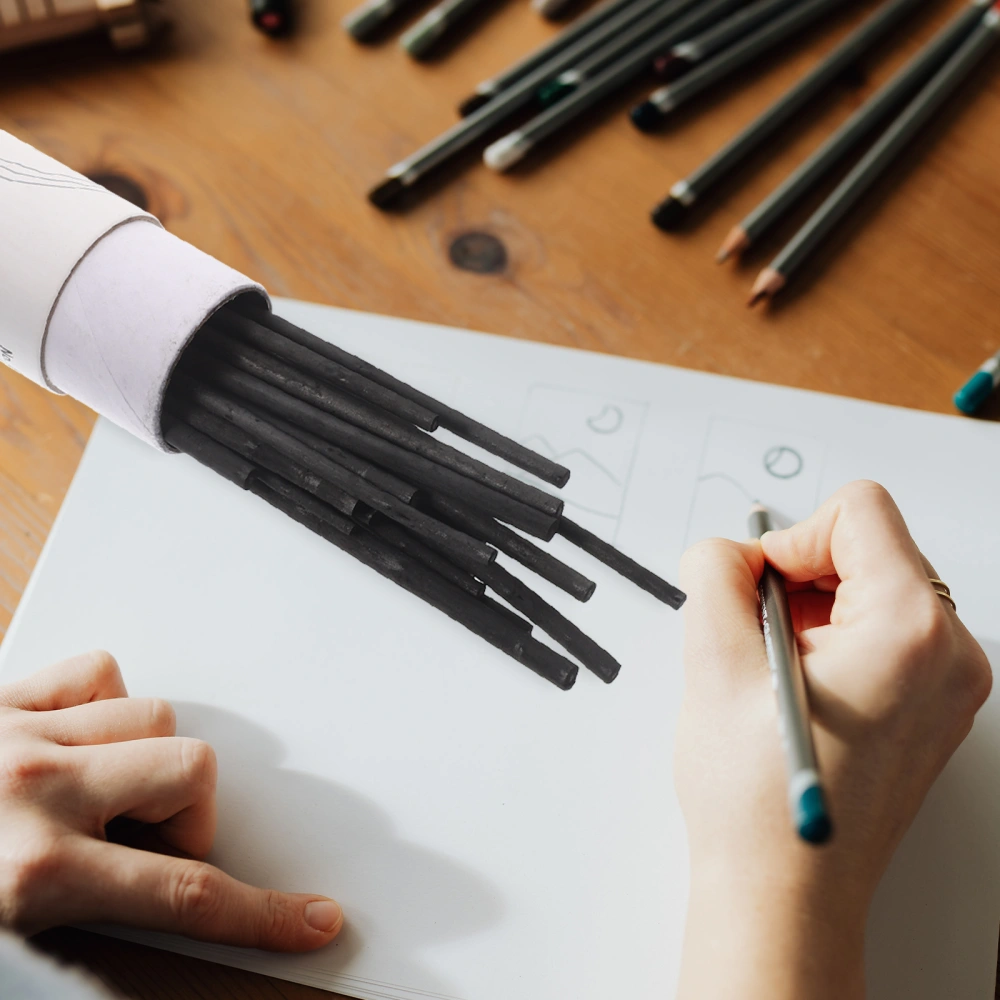 25Pcs Professional Charcoal Sticks Artist Sketching Charcoal Durable Compressed Charcoal (2-4mm)