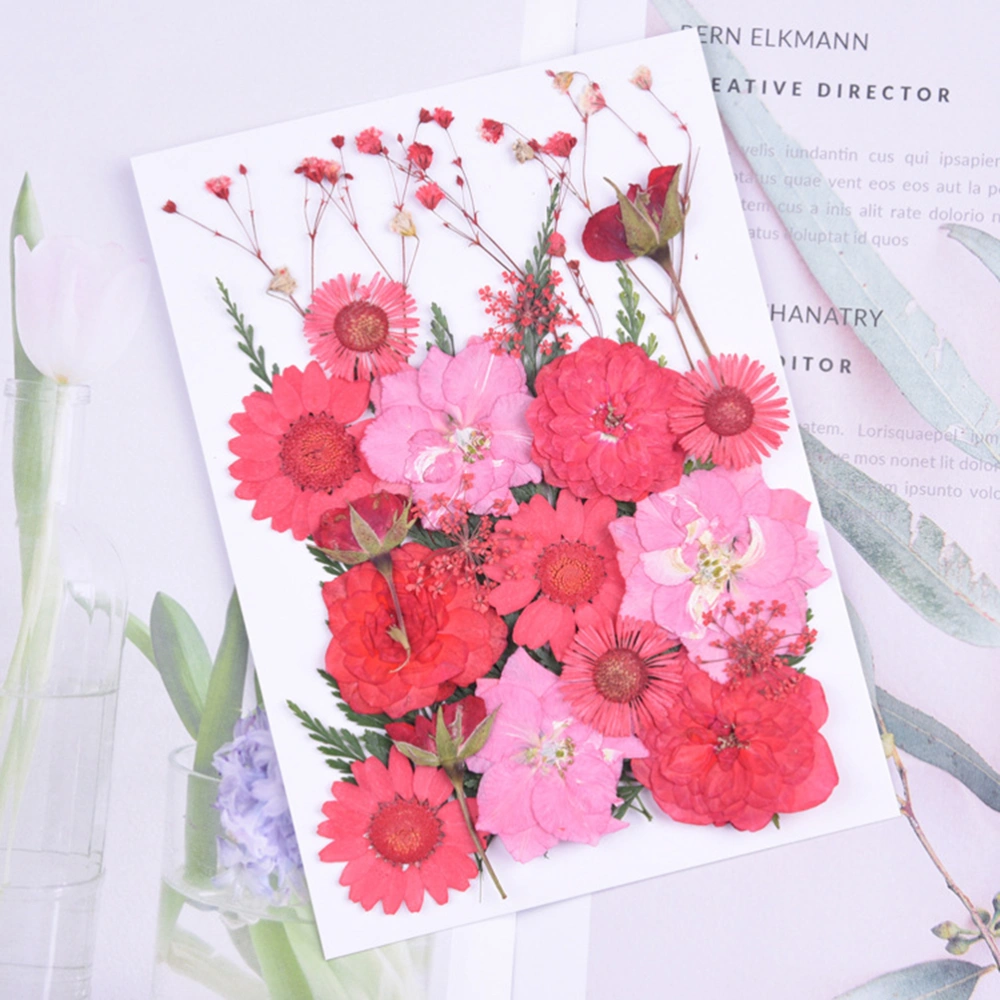 1 Set Flower Plants Specimen DIY Embossing Dried Flower Red Dried Flower Material Pack Mobile Phone Shell Flower Material Jewelry Accessories Handmade Lesson Material