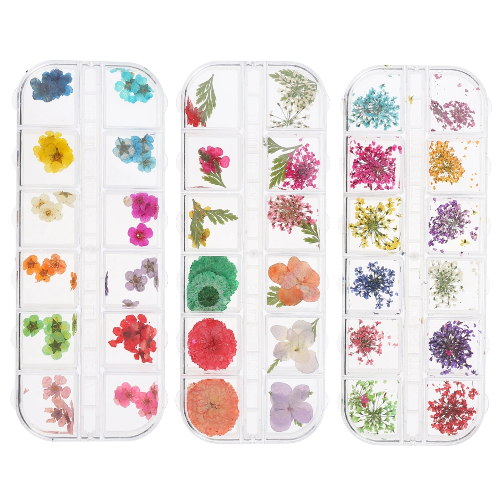 3 Boxes Nail Art Decor Manicure Dried Flower Nails Decals Floral Nail Stickers