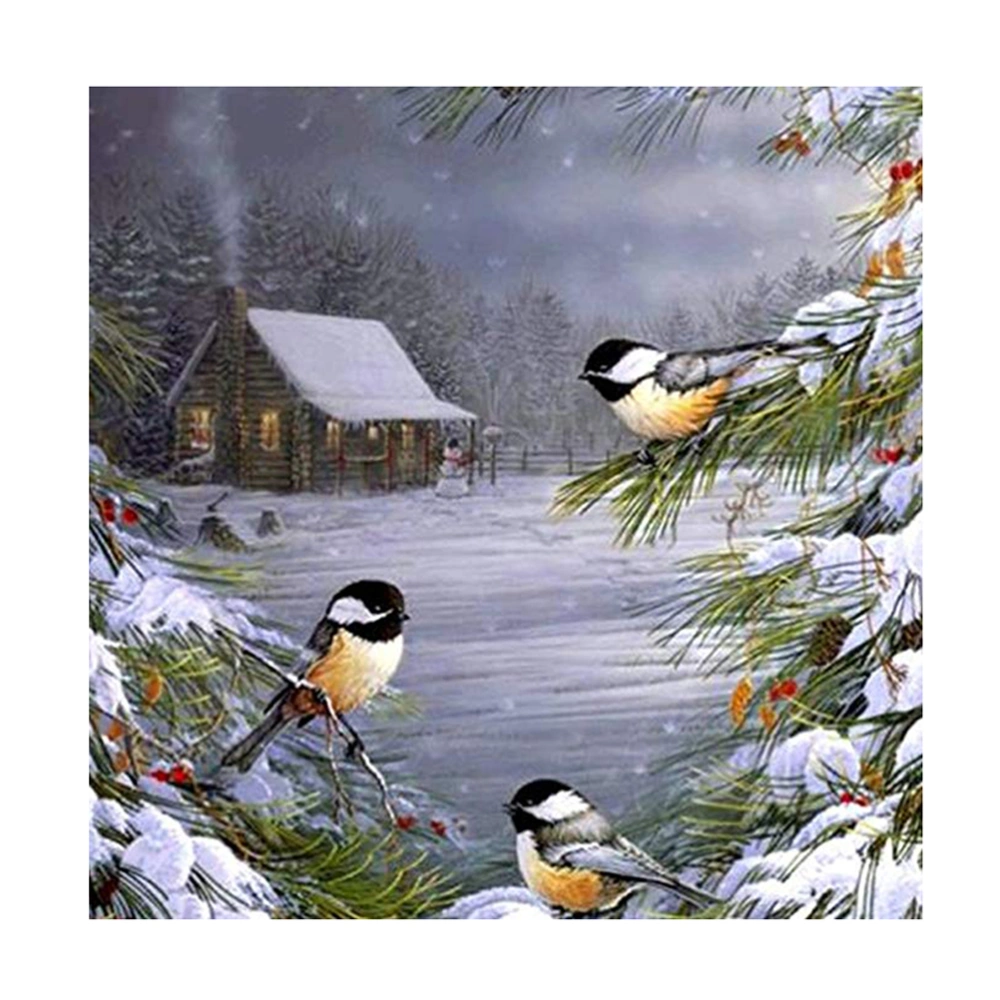 5D Unframed Diamond Embroidery Painting of Birds in Winter Cross Stitch Printing Crafts