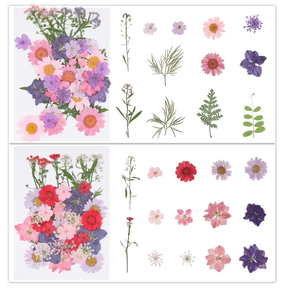 EXCEART 85pcs Natural Dried Flowers Real Pressed Flowers Multiple Assorted Color Dried Flowers for Painting Photo Album Phone Case Decorating (Mixed Color)