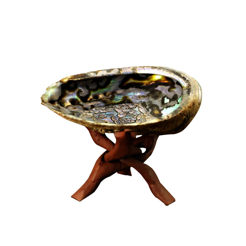 Nepal Sage Grass Burning Holder Natural Wood Base Bracket Abalone Shell Ashtray Cigarette Ashtray Desktop Ornament Fish Tank Landscape Ornament for Home Office