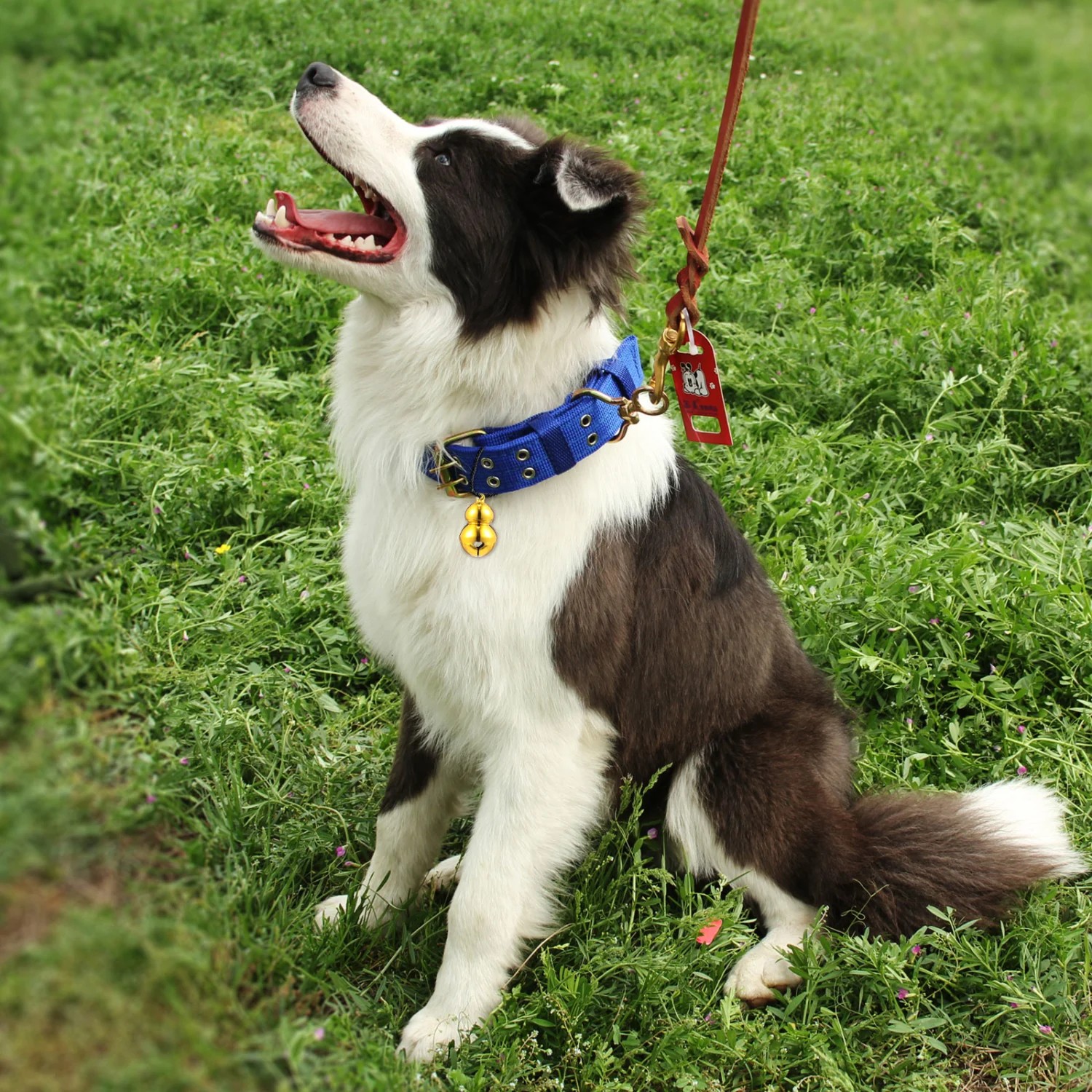 5Pcs Pet Bells Gourd Shape Bells Pet Collar Pendants Christmas Jingle Bells