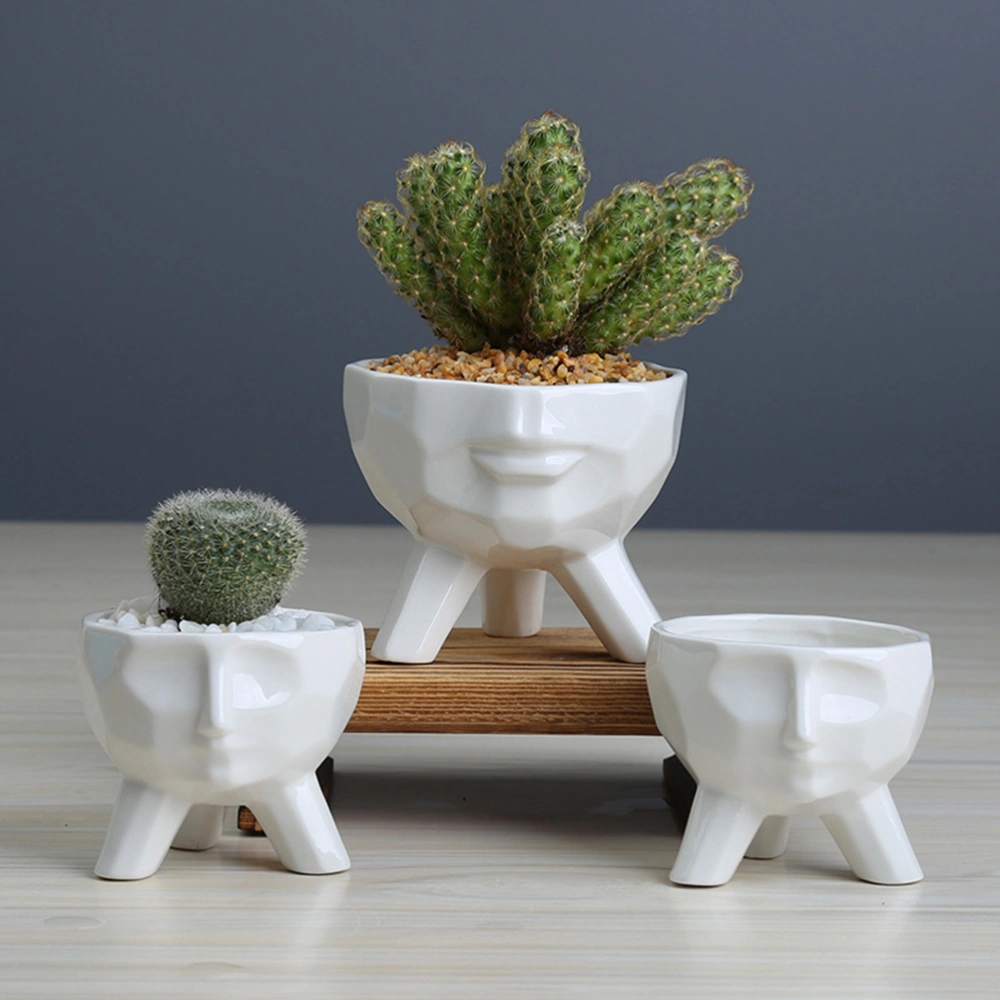 1PC White Succulent Flower Pot Cartoon Human Face Flowerpot Decor Ceramic Human Face Succulent Flower Pot Crafts Bonsai Planter Home Gardening Plant Pot Creative Human Face Flowerpot for Store Office Garden Decor White Size L