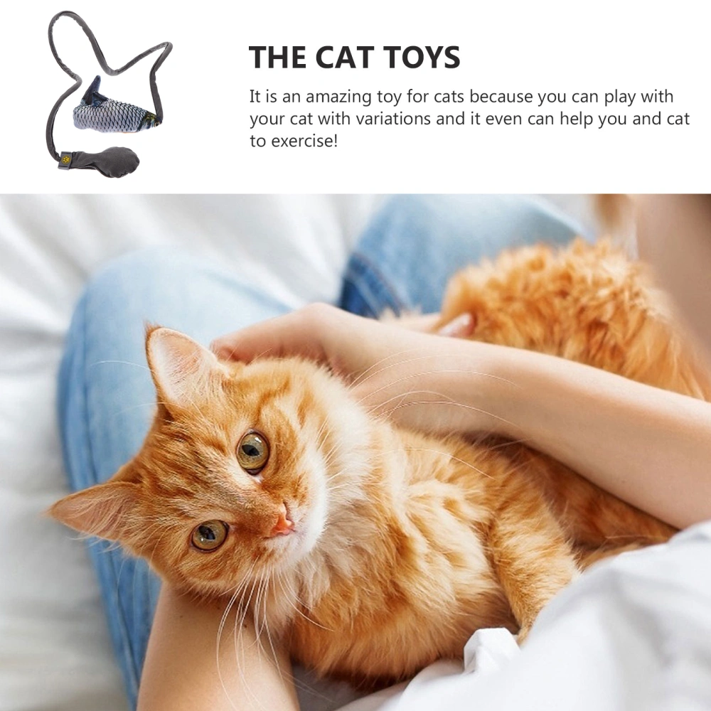 Imitation Fish Toy with Air Bag Interactive Toy Pet Plush Toy for Pet Cat Kitten