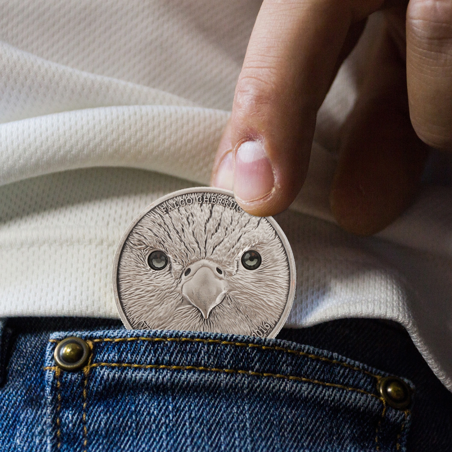 Iron Commemorative Coin Collection Animal Pattern Souvenir Home Decoration