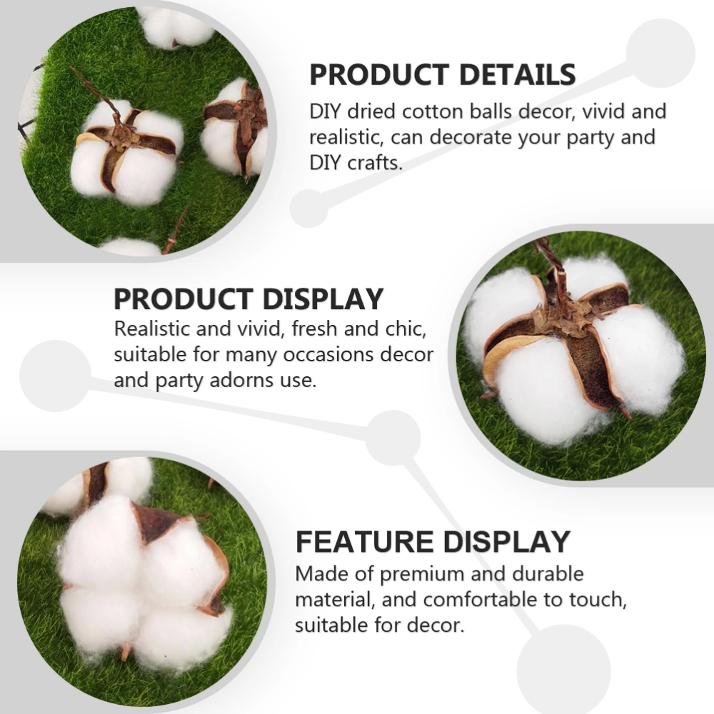  12pcs Practical Dried Cotton Balls Natural Cotton Balls Natural Cotton Flowers