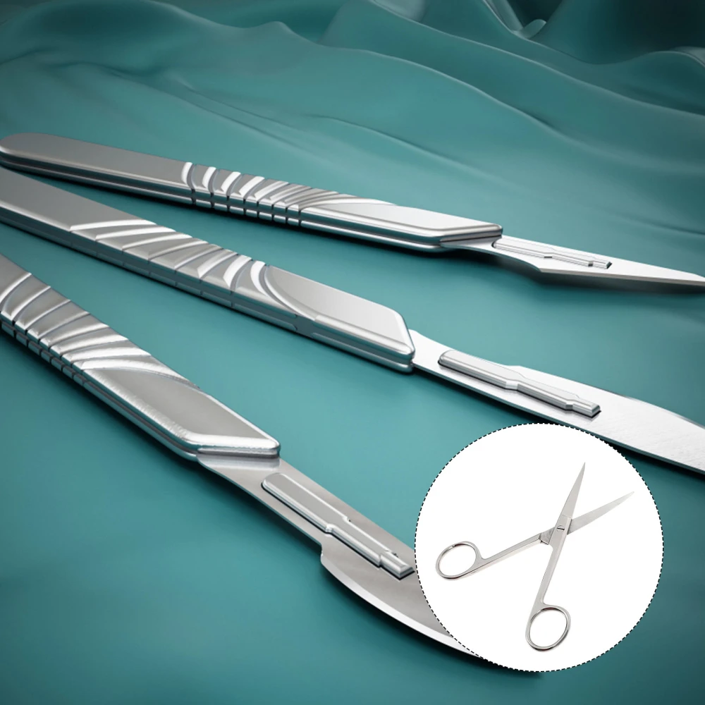 Anatomy Scissors Medical Curved Point Scissors Hospital Used Scissors for Hospital