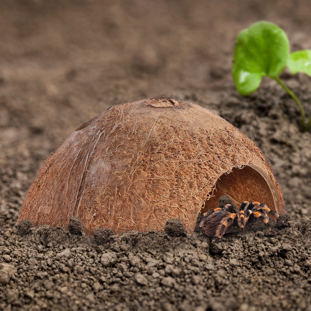 POPETPOP 2pcs Coconut Shell Natural Hut Reptile Hideouts Reptile Cave for Lizard Spider Snail Hermit Crab