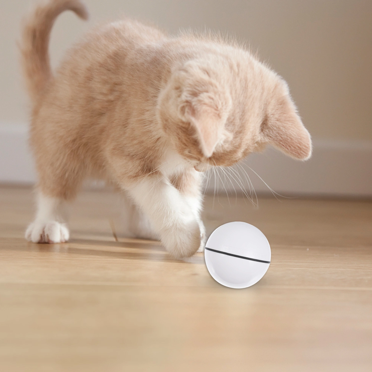 LED Pet Toy Electric Smart Rolling Cat Toy Ball Funny Interactive Cat Toy