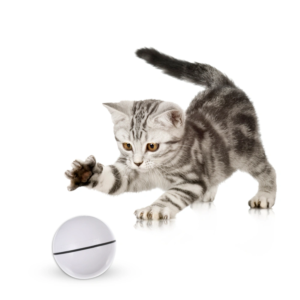 LED Pet Toy Electric Smart Rolling Cat Toy Ball Funny Interactive Cat Toy