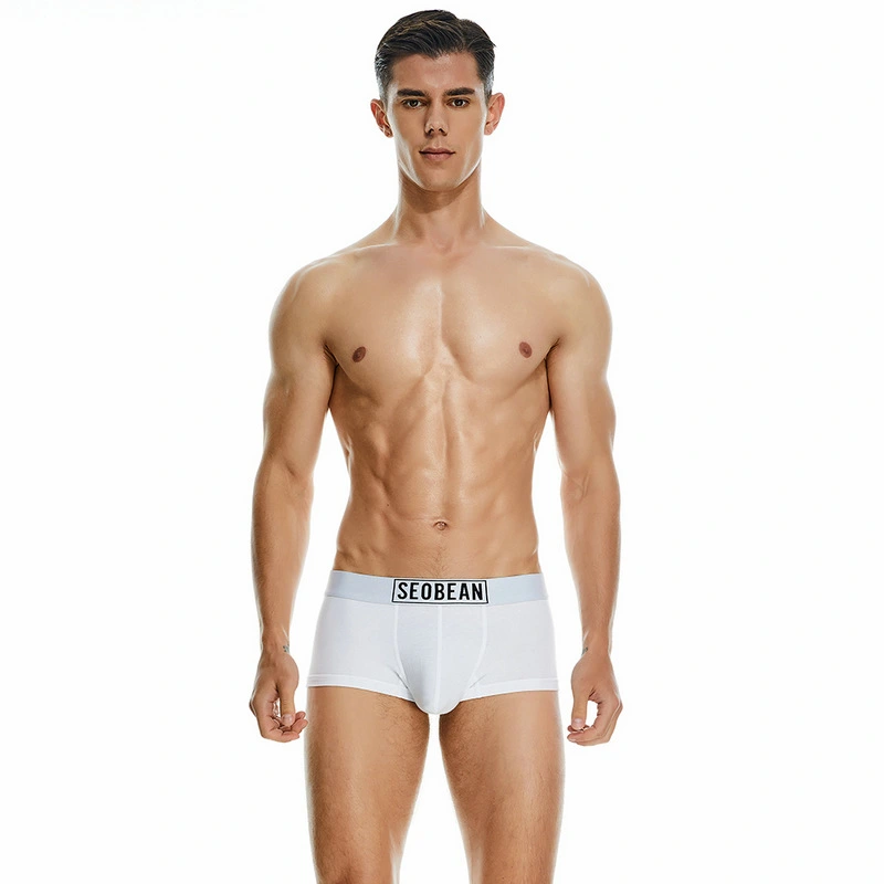 Men's Cotton Underpants Low Waist Casual Boxer Boxer Briefs