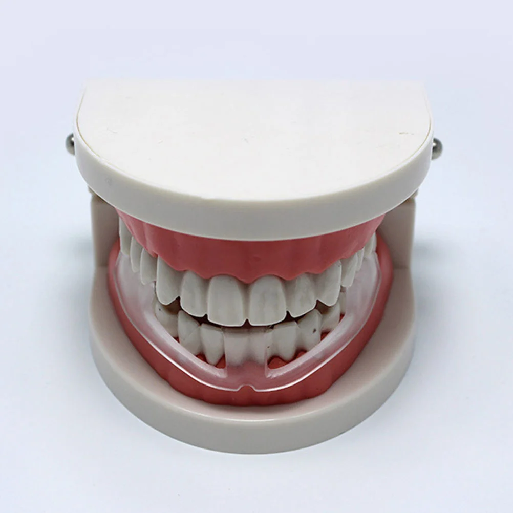 Orthodontic Braces for Adults and Children Tooth Guard Molars Pad Sleep at Night Anti Wear Braces Size M