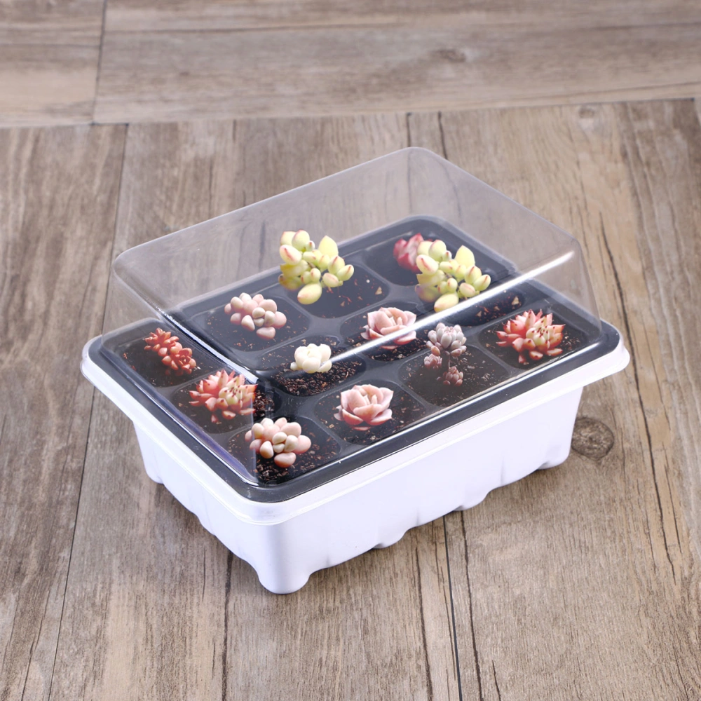 5 Sets 12 Holes Tray Reusable Plastic Sprout Box Garden Starting Tray Succulent Pot Grow Box for Garden Nursery