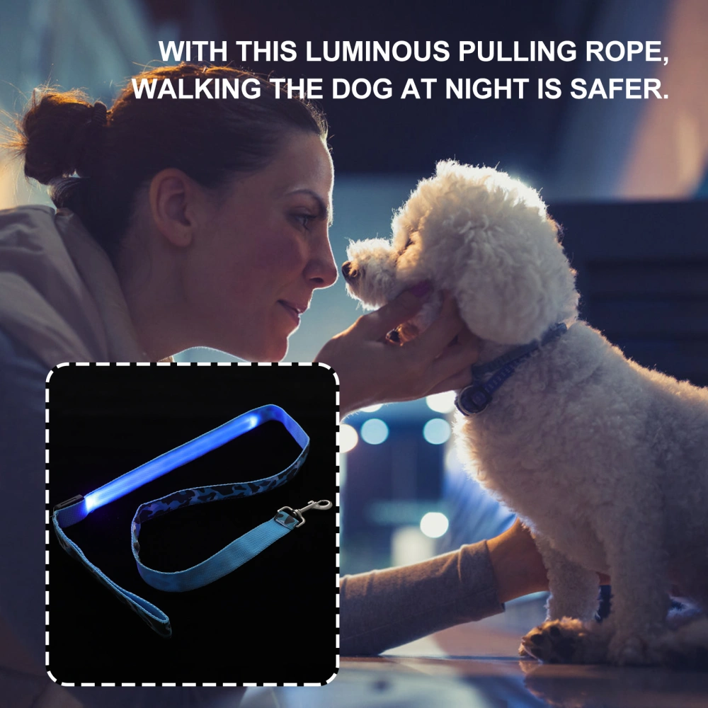 Luminous Leash for Dog Cat LED Pet Leash Outdoor Dog Leash for Night Pet Accessory