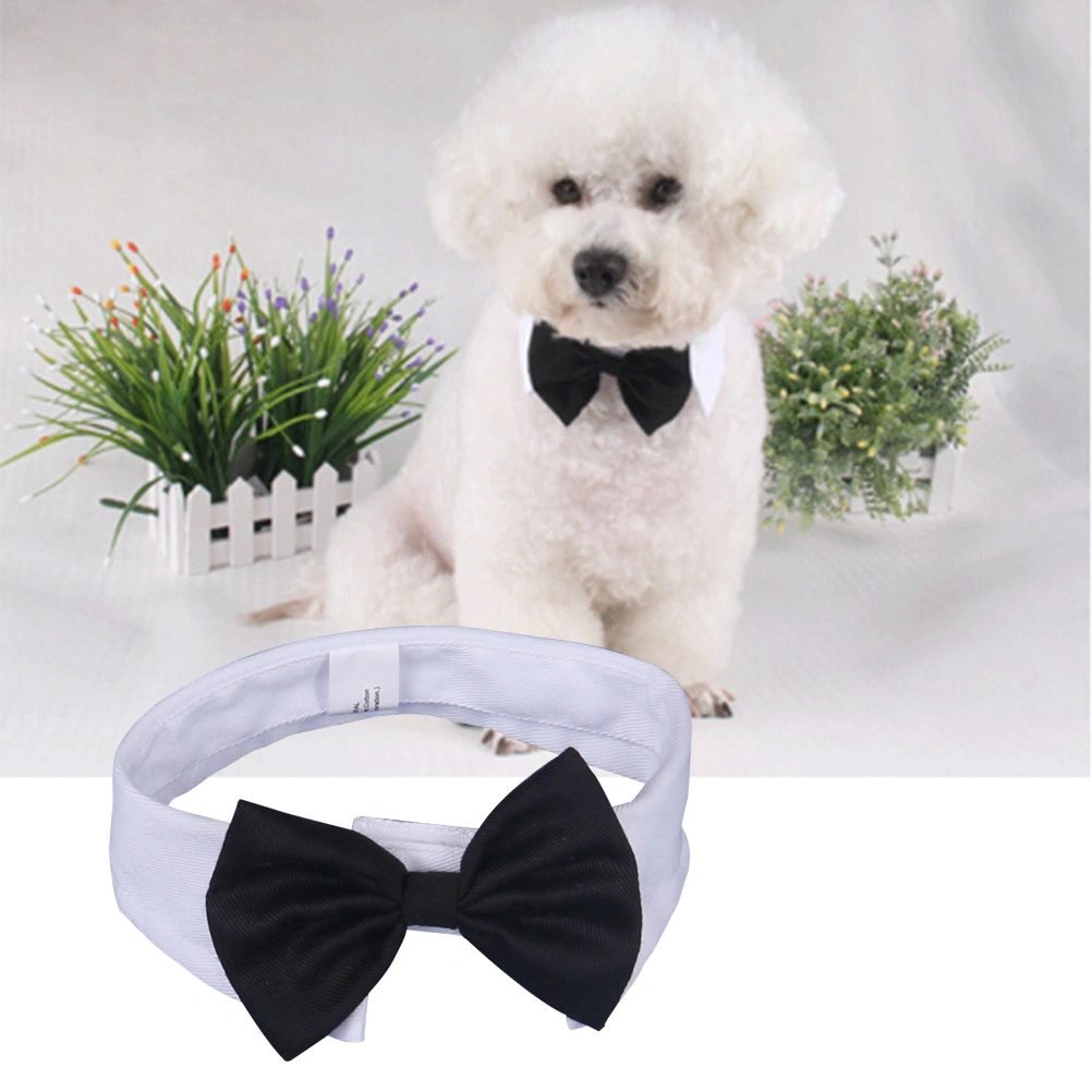Adjustable Dog Bow Tie Neck Tie Pet White and Black Cotton British Style Collar - Size L