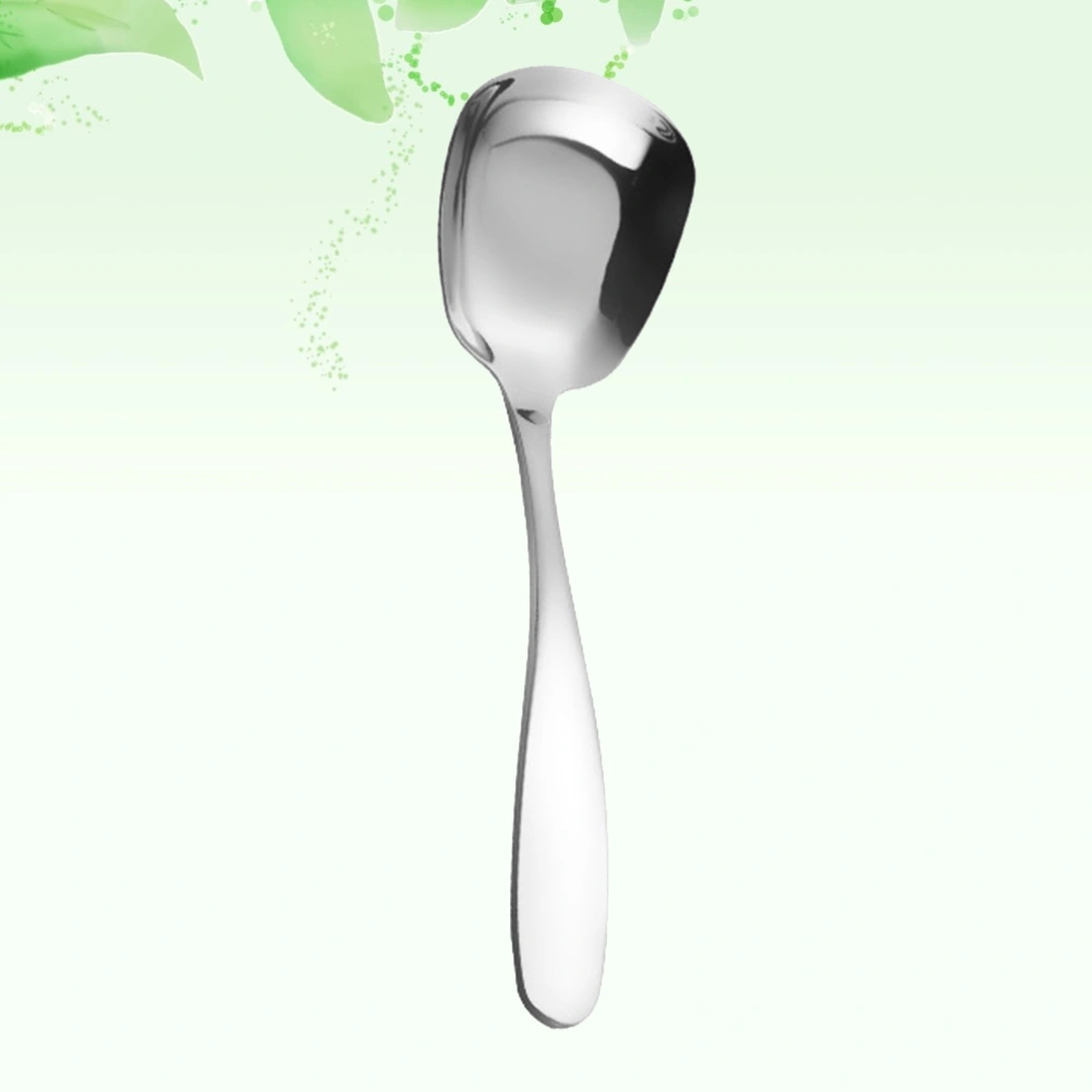 Noble Stainless Steel Spoon Cutlery Tableware Eating Utensils for Dessert (Original Color Large Size)